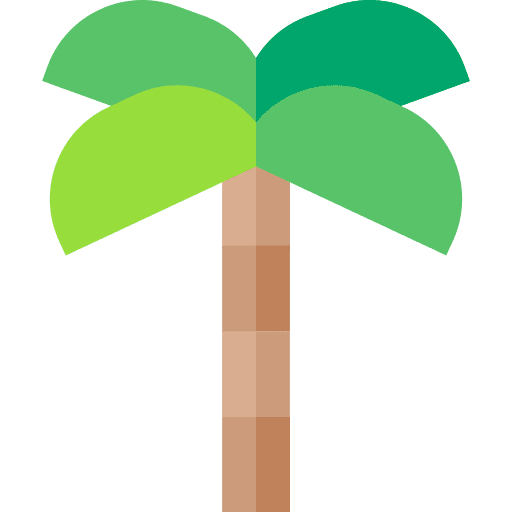 Palm tree tropical summer nature icon