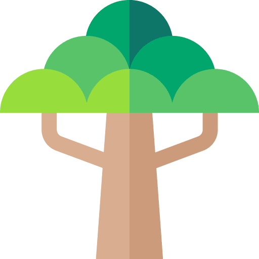 Baobab botanical biology nature icon