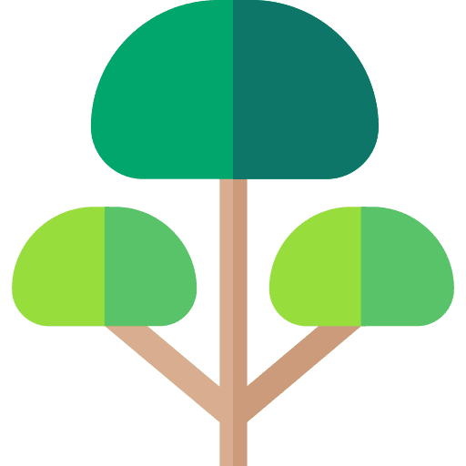 Tree botanical tree ecology icon
