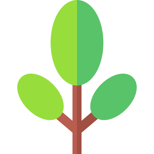 Tree botanical tree yard icon