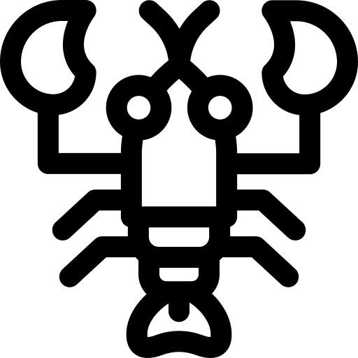 Lobster crustacean seafood animal icon