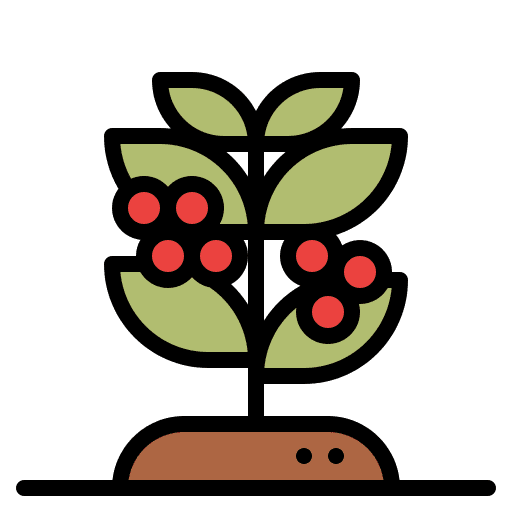 Coffee nature drink bean icon