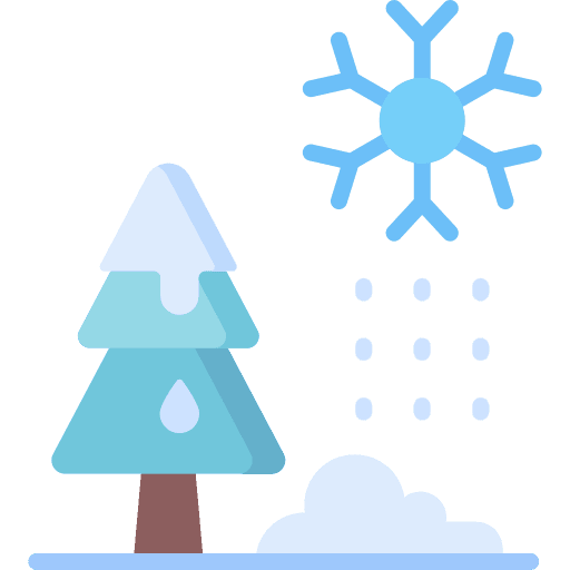 Cold snow cold snowflake icon