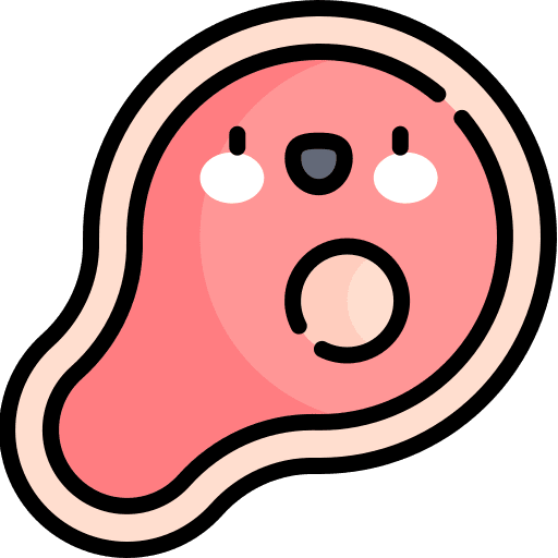 Meat food meat barbecue icon