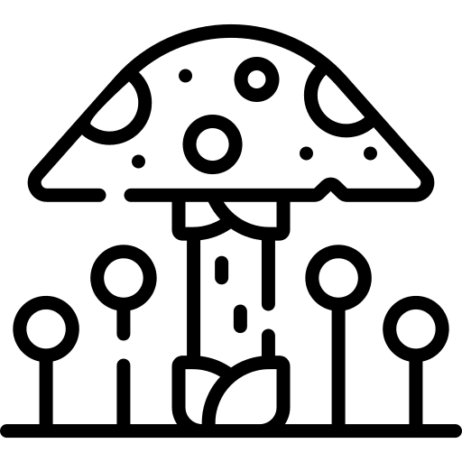 Fungus toadstool fungus mushrooms icon