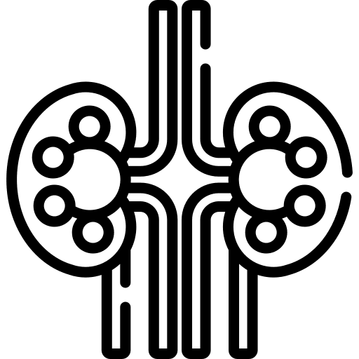 Kidney urologist kidney human body icon
