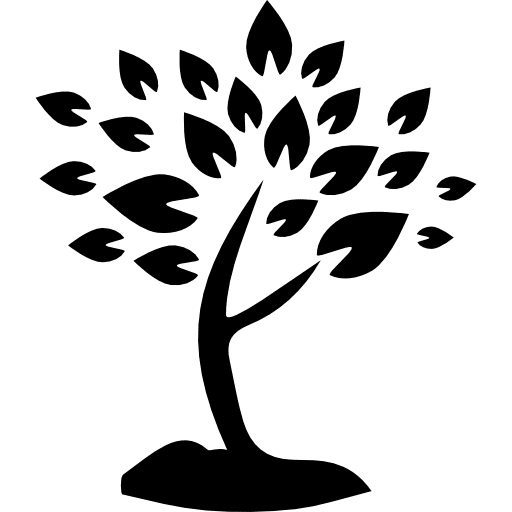 Tree with many leaves joshua tree yard forest icon