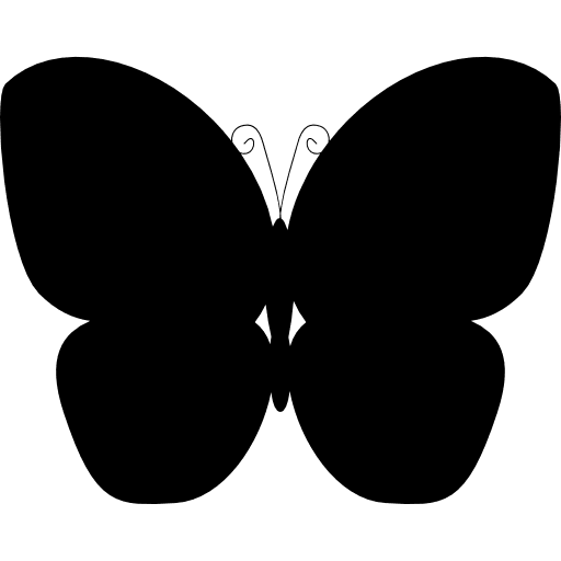 Butterfly spring insect animal icon