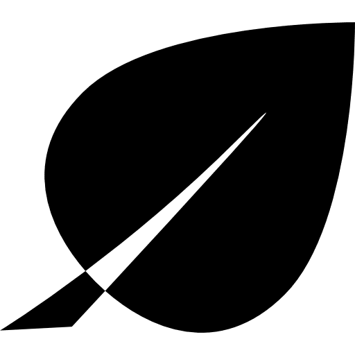 Leaf leaves ecological eco icon