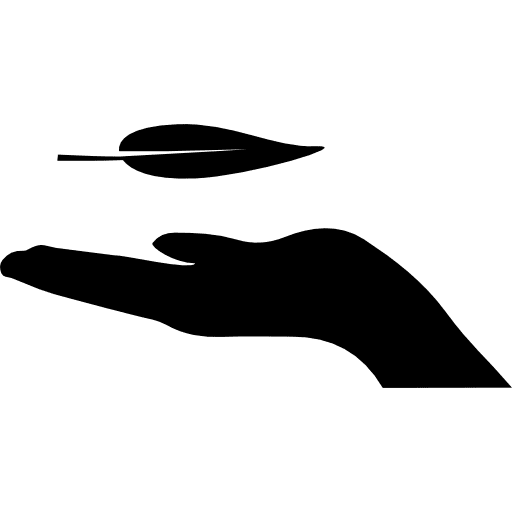 Leaf on hand ecologism hand gesture icon