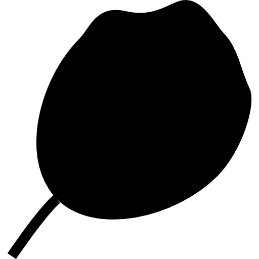 Leaf garden tree fall icon