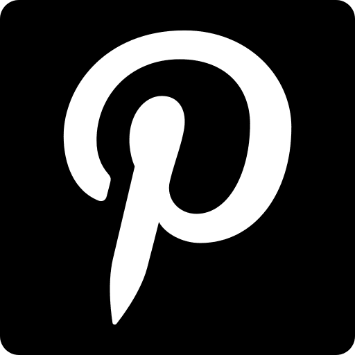 Social pinterest social logotype icon