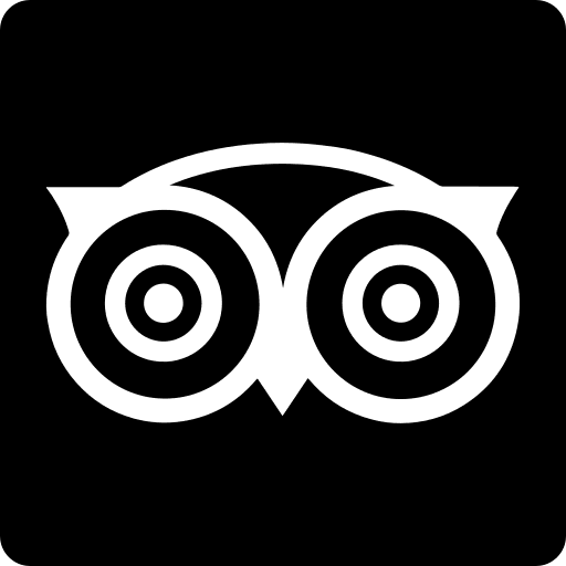 Social tripadvisor logotype social normal icon