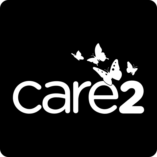 Social symbols logotype logotypes icon