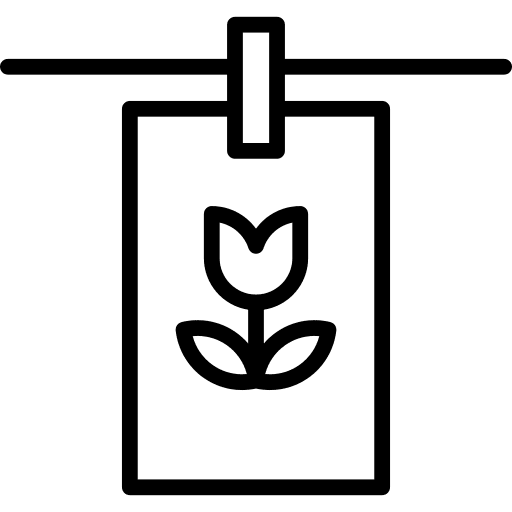 Photography interface photograph photographer icon