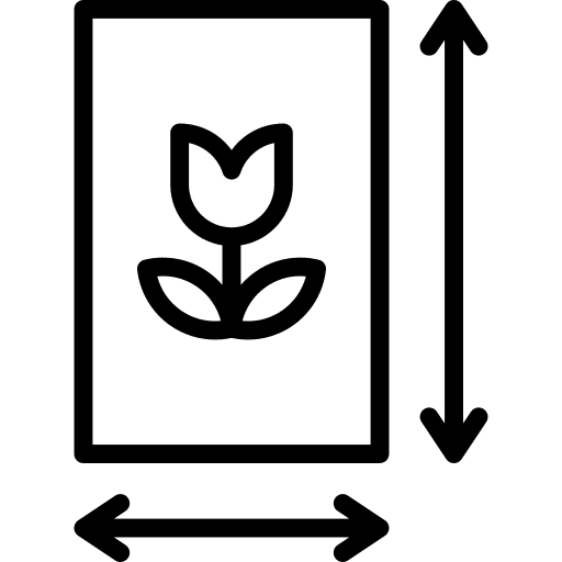 Photography photography flower interface icon