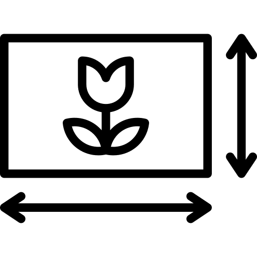 Photography photography frame flower icon