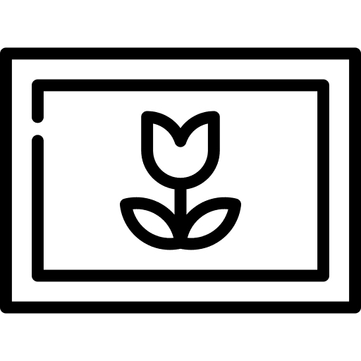 Picture ornamental flowers photographer icon