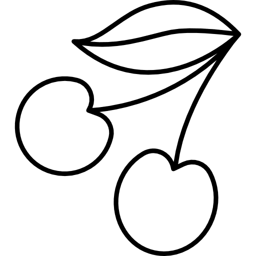 Cherries food vintage organic icon