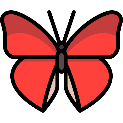 Butterfly animals insect butterfly icon