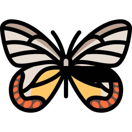 Butterfly insect animals moths icon