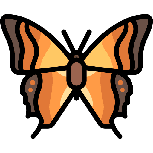 Butterfly insect animals moths icon
