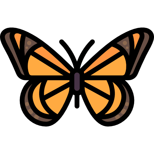 Butterfly insect butterfly moths icon