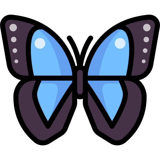 Butterfly moths butterfly insect icon