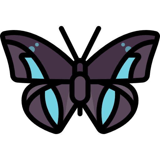 Butterfly animals insect moths icon