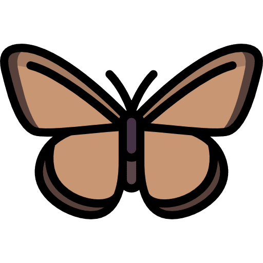 Butterfly animals moths insect icon