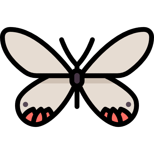 Butterfly insect animals moths icon