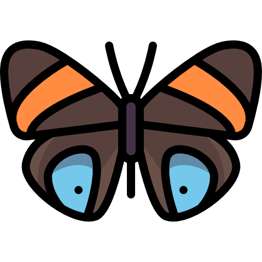 Butterfly moths animals insect icon