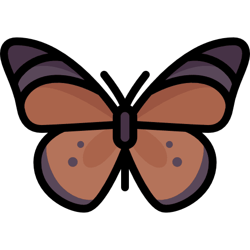Butterfly moths butterfly animals icon