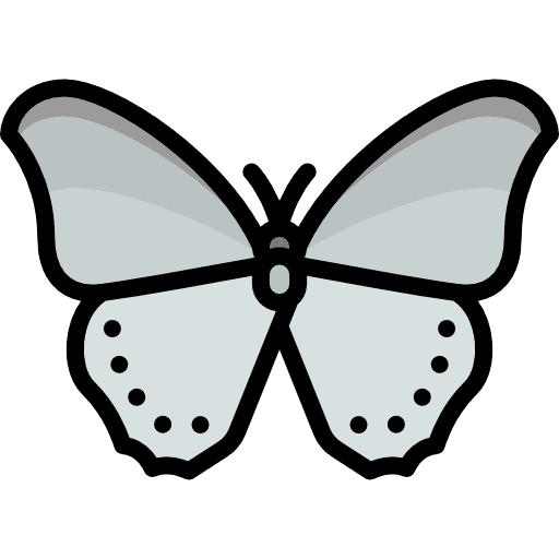 Butterfly moths butterfly insect icon