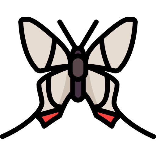 Butterfly animals moths insect icon
