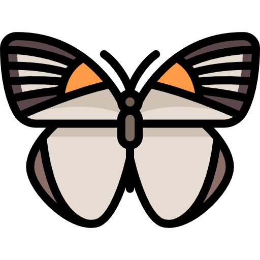 Butterfly butterfly moths animals icon