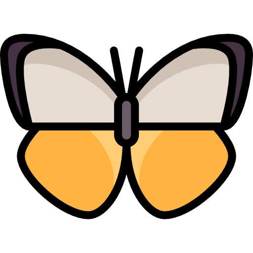 Butterfly insect animals butterfly icon
