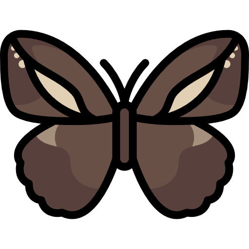 Butterfly insect butterfly animals icon
