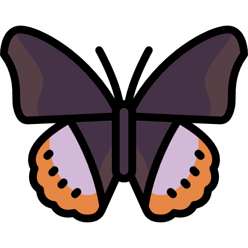 Butterfly insect butterfly moths icon