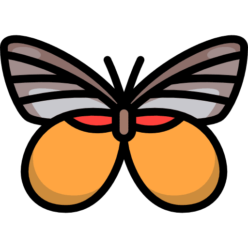 Butterfly moths animals butterfly icon