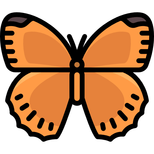 Butterfly moths animals butterfly icon