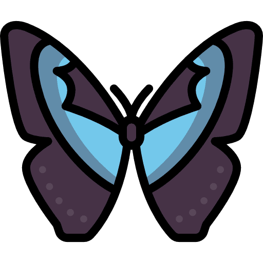 Butterfly animals insect moths icon