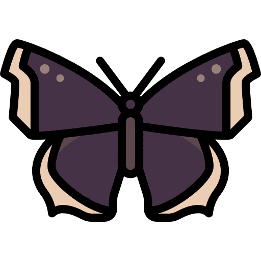 Butterfly animals moths insect icon