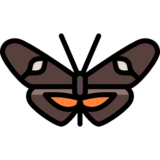 Butterfly butterfly insect animals icon