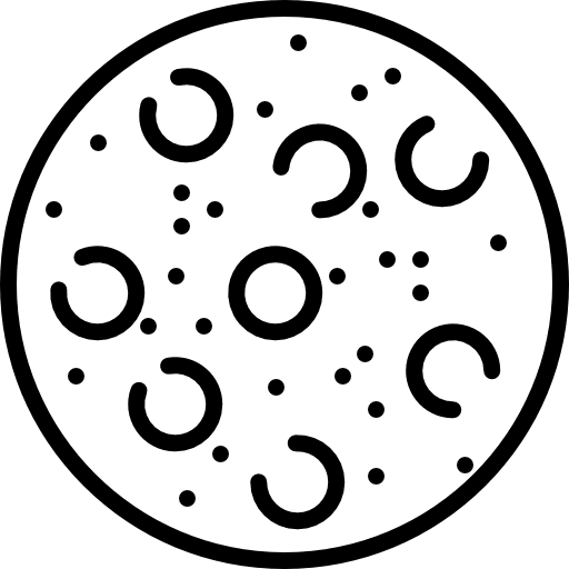 Cookie cookie food baker icon