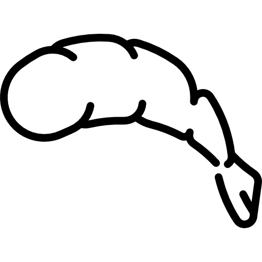 Shrimp sea life animal shrimp icon