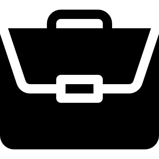 Portfolio businessman work experiences portfolio icon