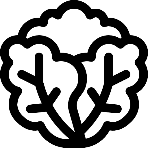 Lettuce food vegetable food and restaurant icon