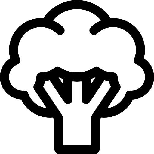 Broccoli supermarket vegetables healthy food icon