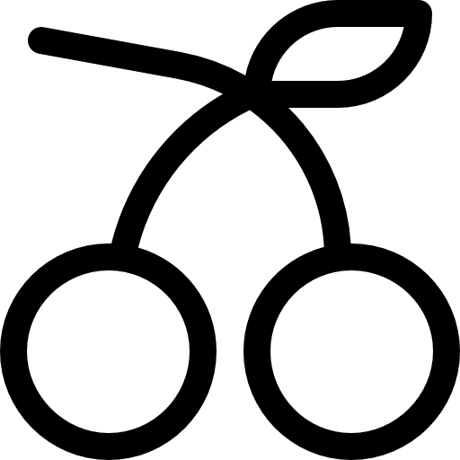 Cherry diet fruit food icon